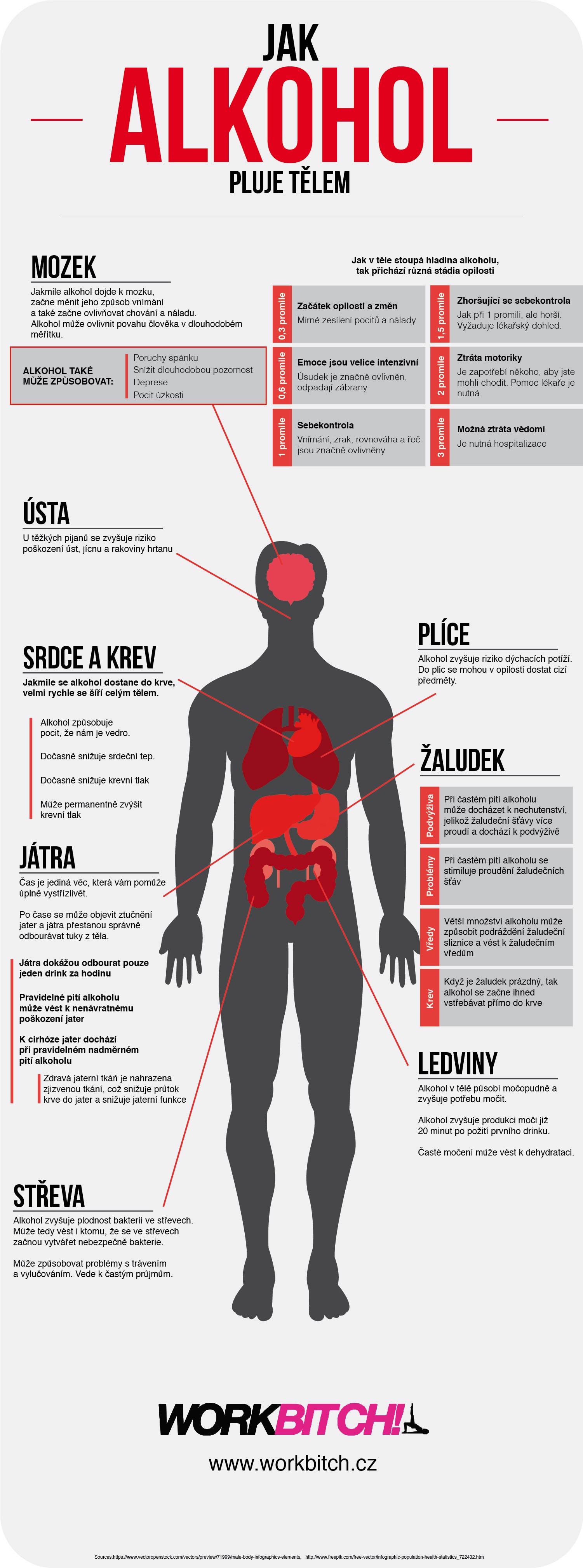 infografika alkohol2