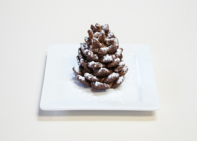 12-chocolate-pinecone-recipe-2