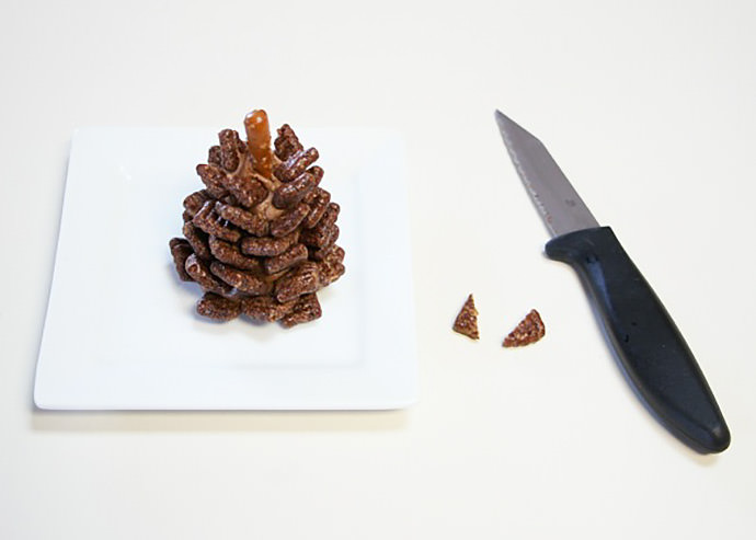 9-chocolate-pinecone-recipe-2